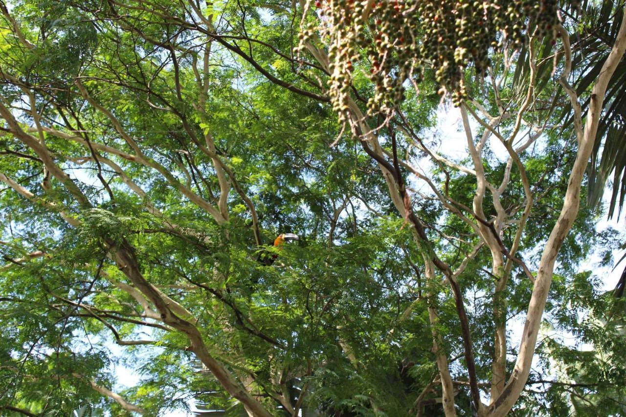 Sitio Nada E Por Acaso Casa de férias